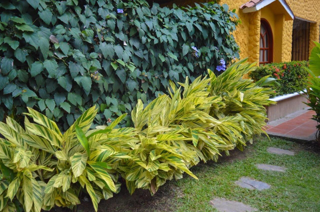 Eco Hostal Kuima El Zaino Εξωτερικό φωτογραφία