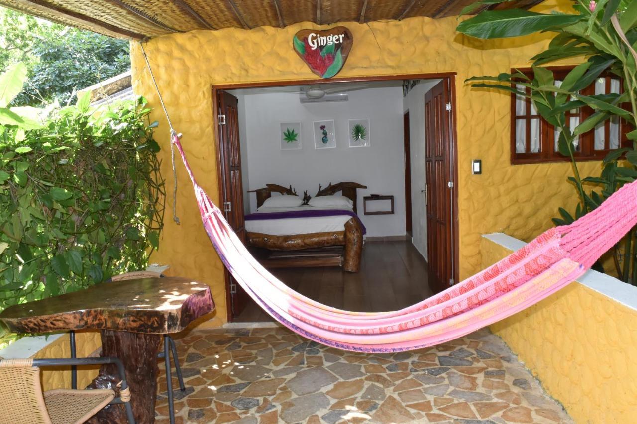 Eco Hostal Kuima El Zaino Εξωτερικό φωτογραφία